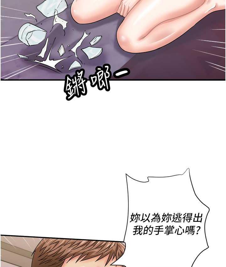 52P - 行动扫码鸡
