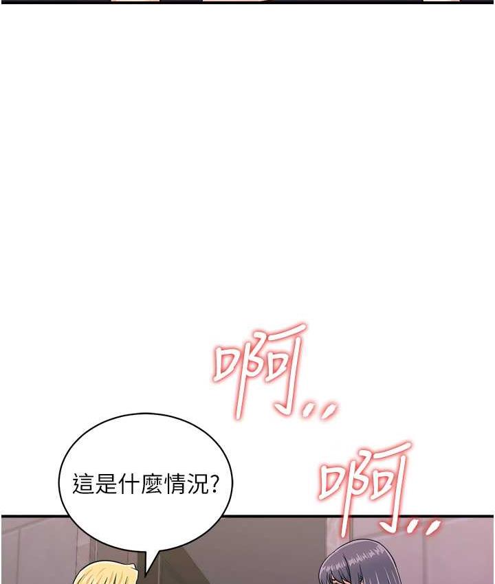 4P - 行动扫码鸡