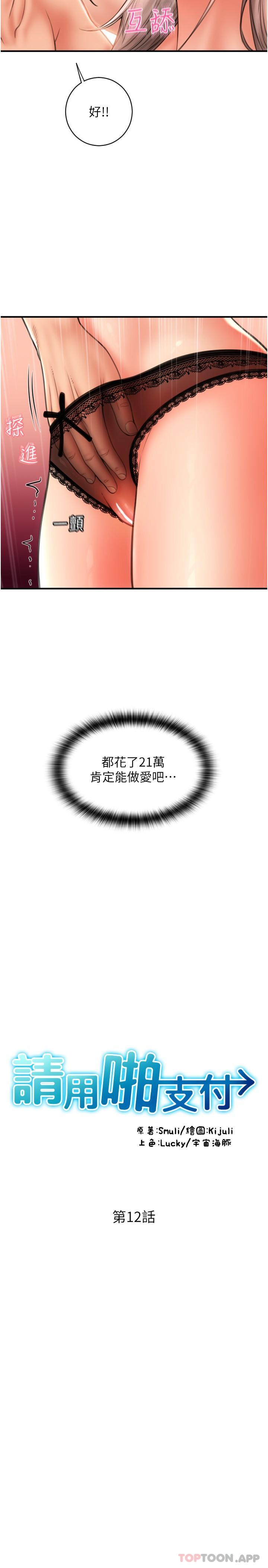 3P - 请用啪支付