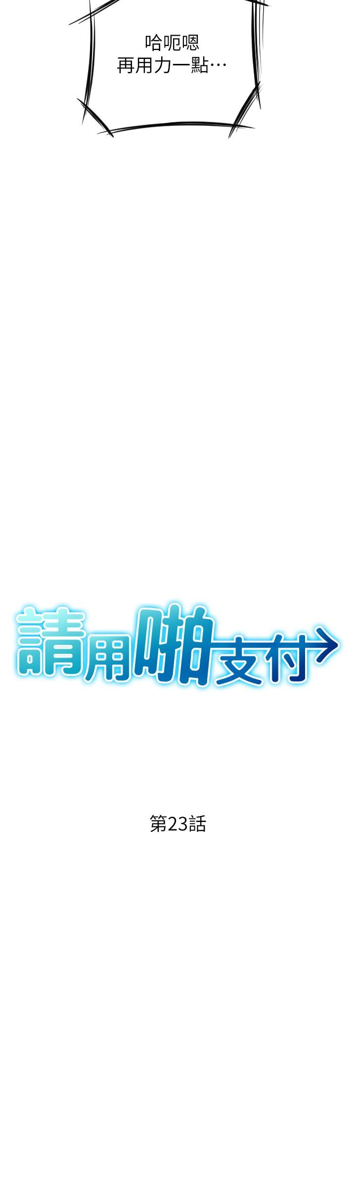 3P - 请用啪支付