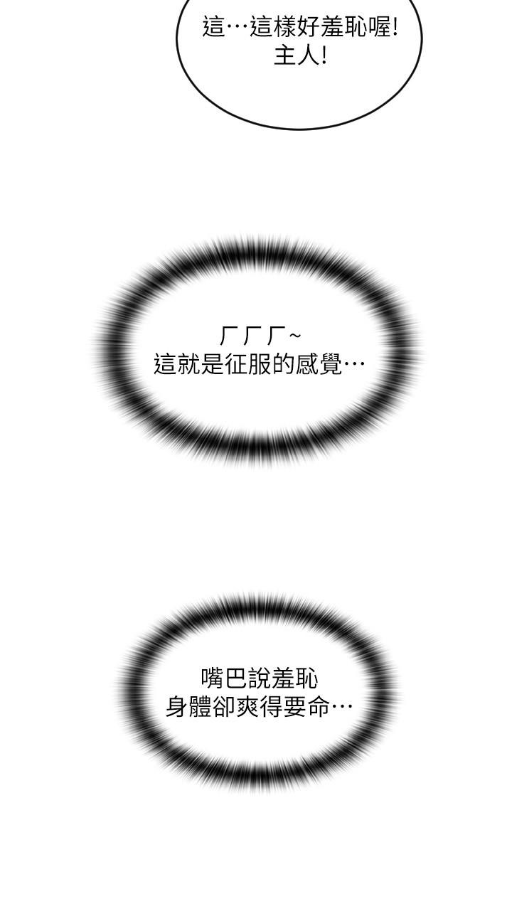 33P - 请用啪支付