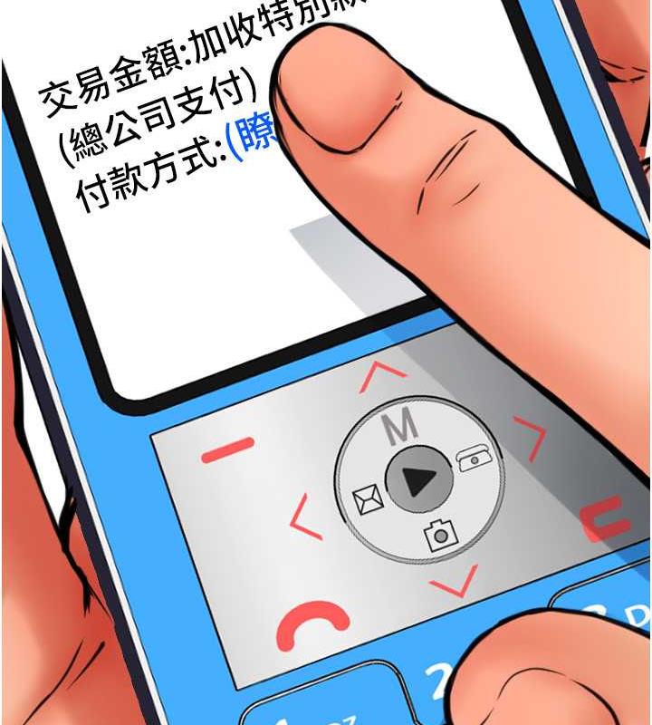 33P - 请用啪支付