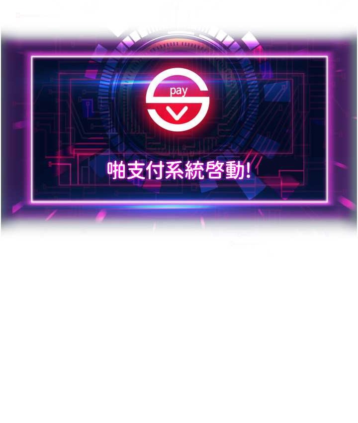 13P - 请用啪支付