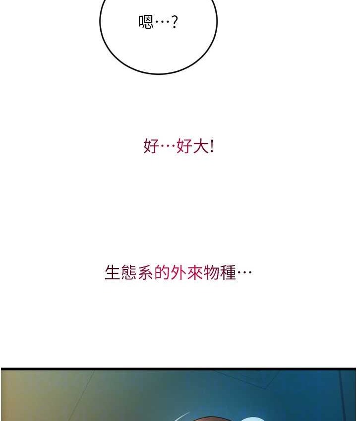 154P - 请用啪支付