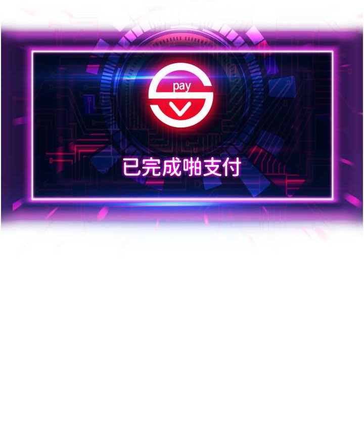 13P - 请用啪支付