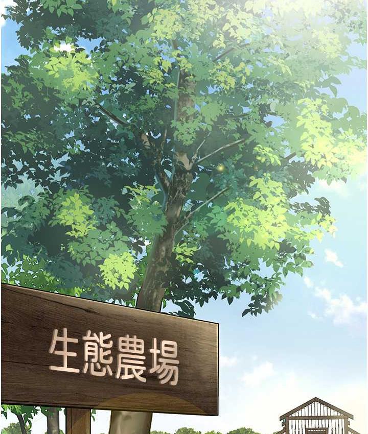 17P - 幼儿园老师们