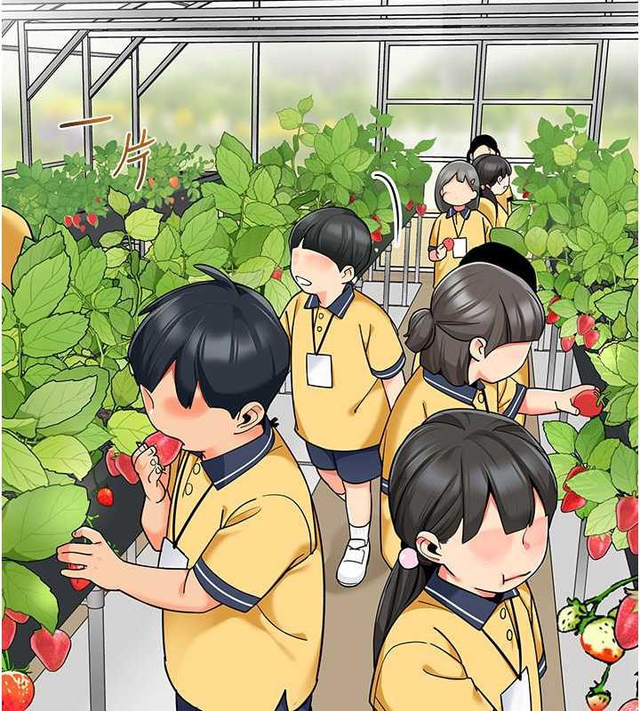 34P - 幼儿园老师们