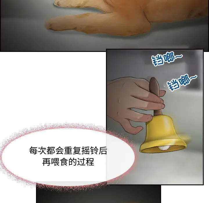 6P - 神之嗓音