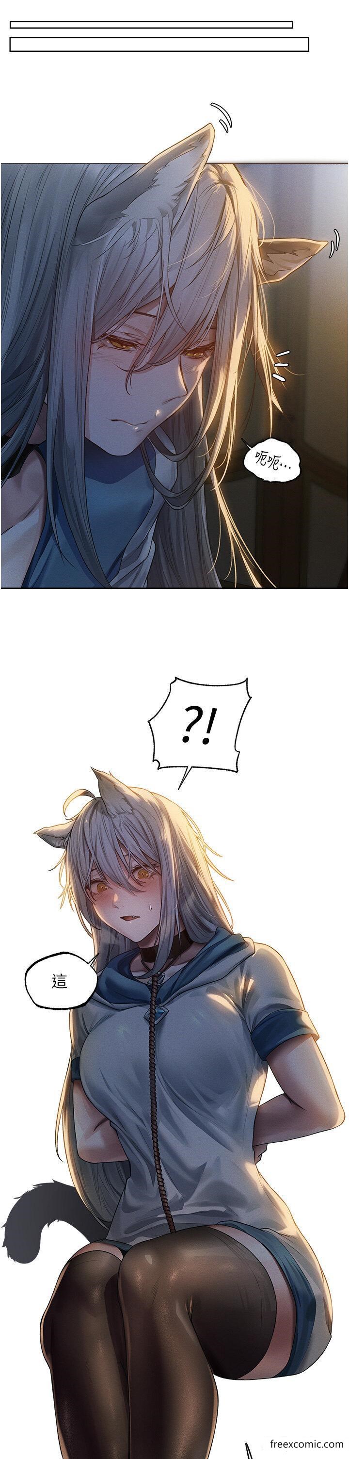 29P - 人妻猎人