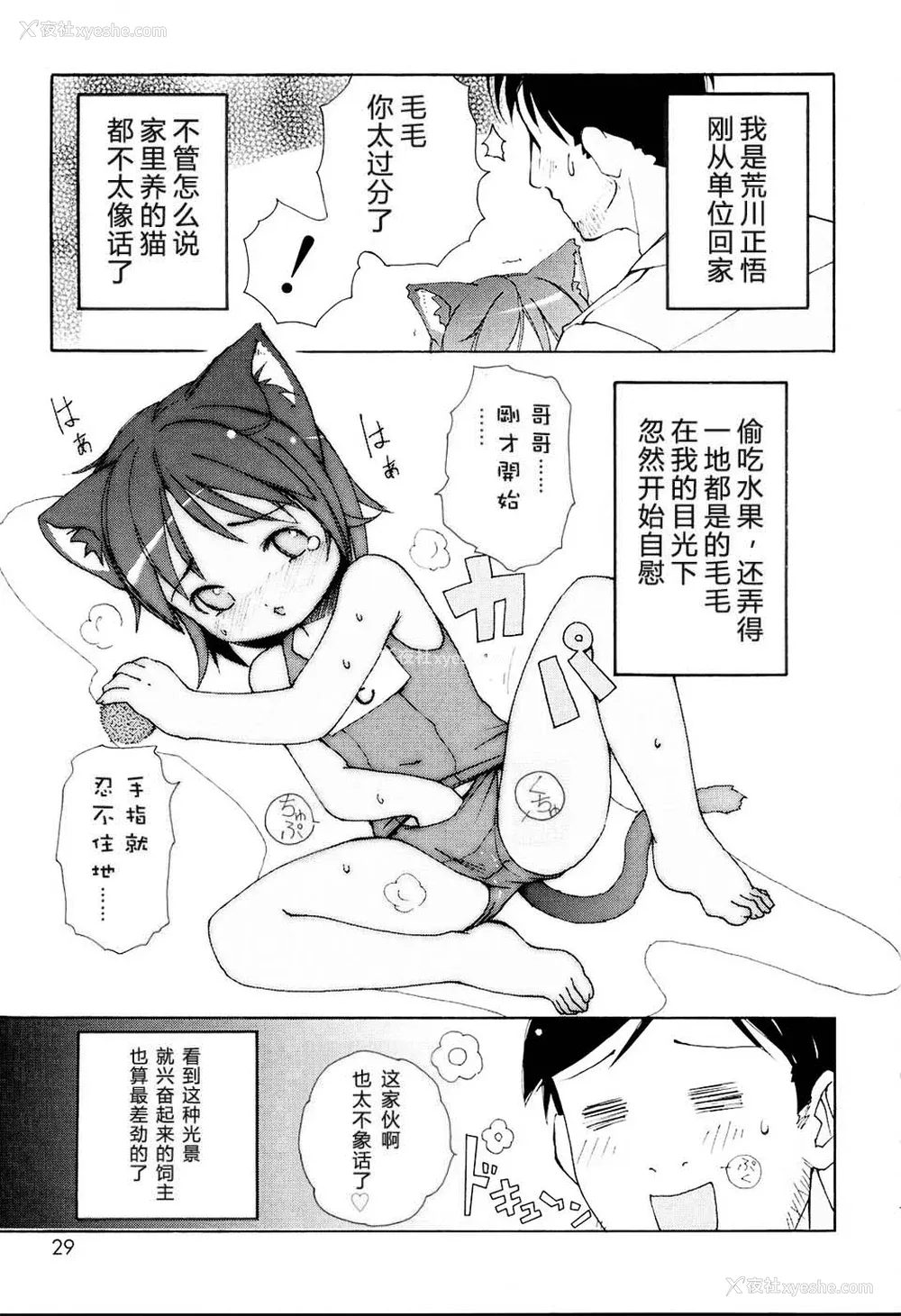 31P - [LEE] みにみみ [萌动汉化 & wxloli重嵌修改] [无修正]