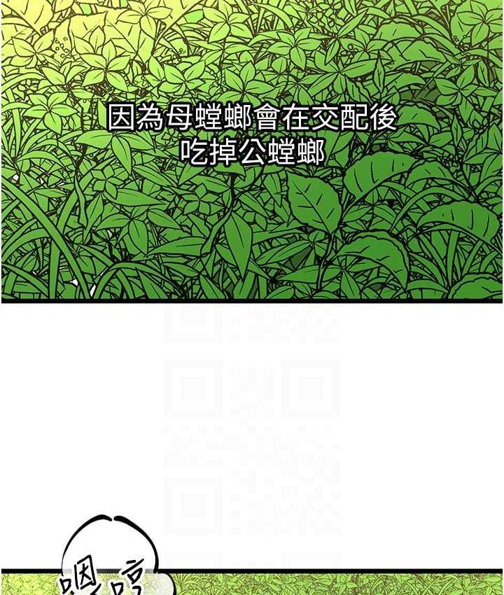 88P - 地表最屌卧底干员