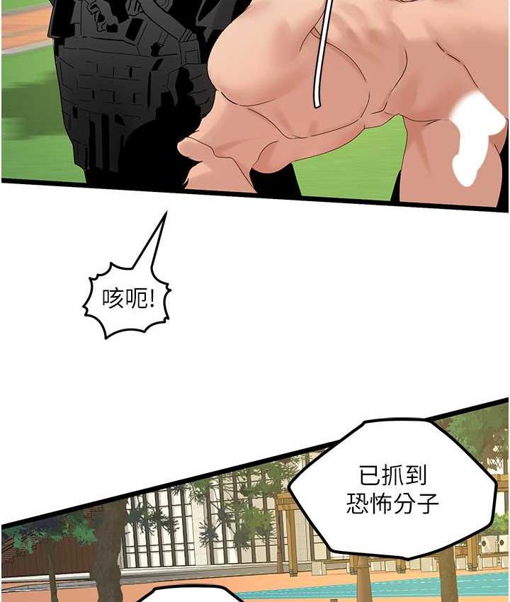 41P - 地表最屌卧底干员