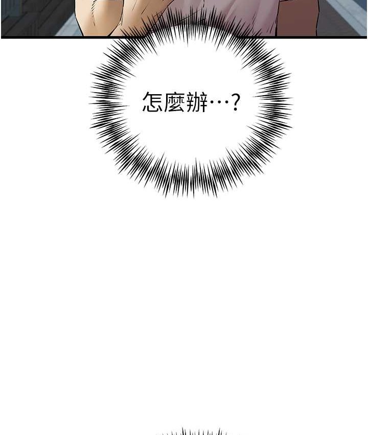 13P - 初次深交，请多指教