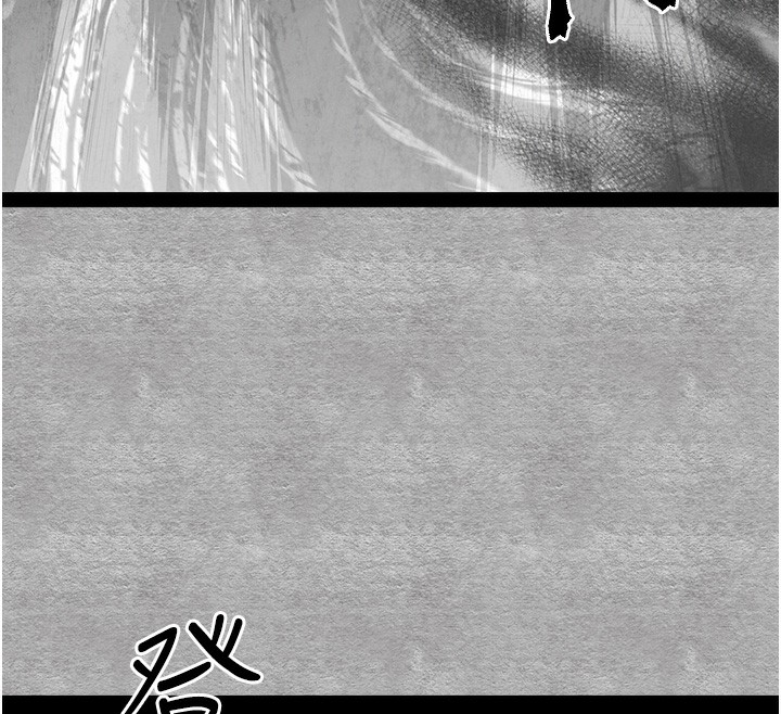103P - 初次深交，请多指教