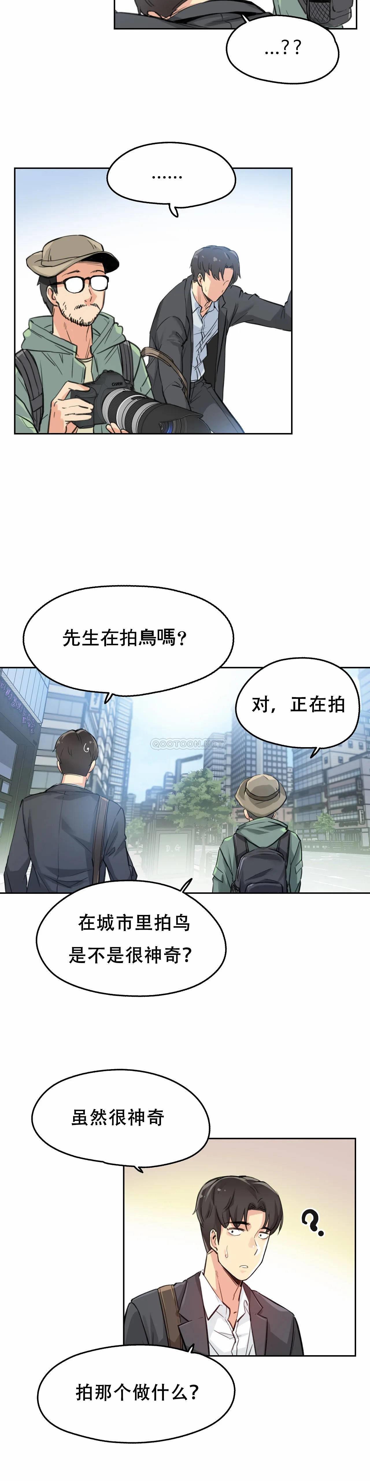 24P - 代理部