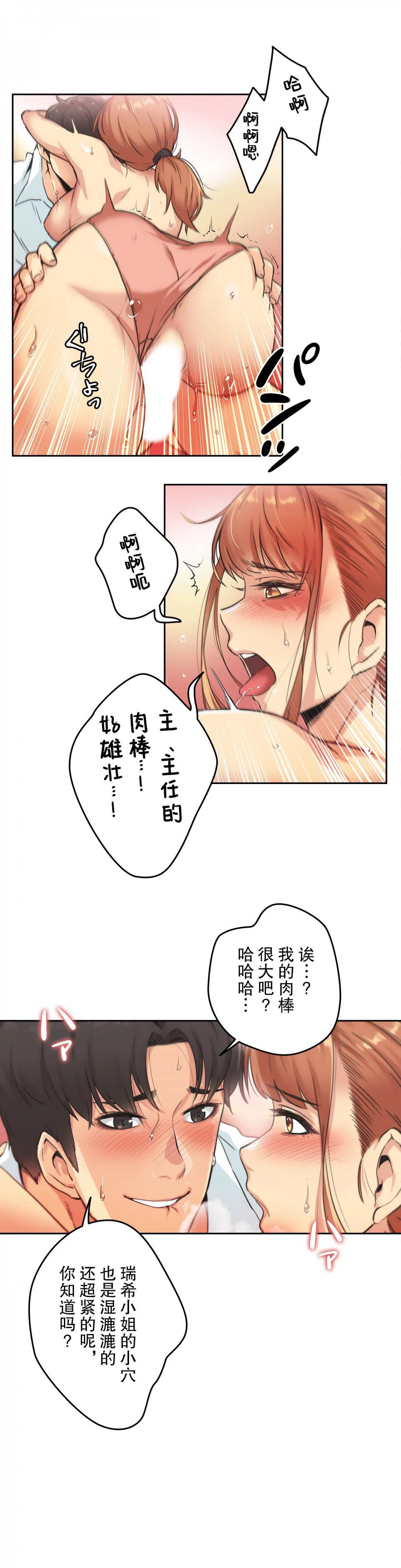 4P - 代理部