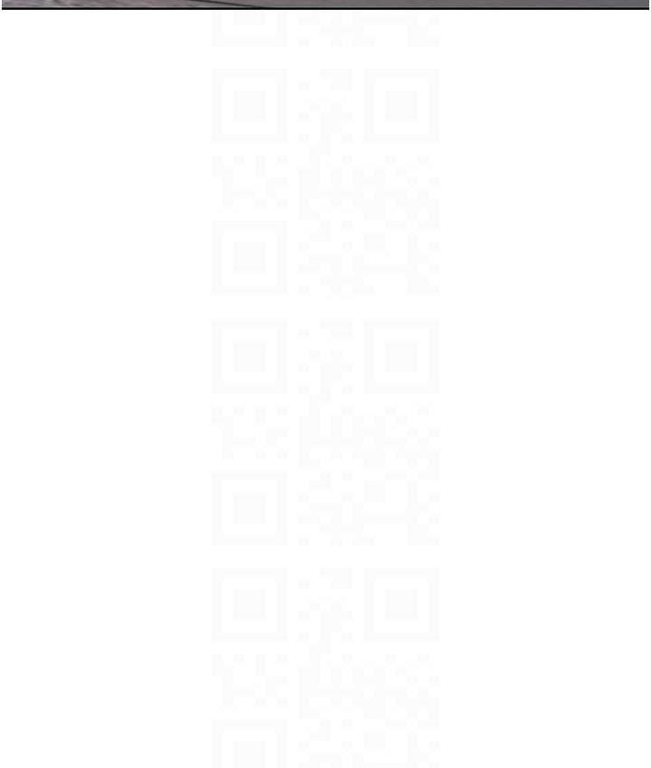 94P - 野蛮插画家