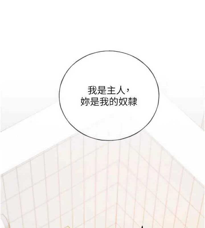 146P - 野蛮插画家