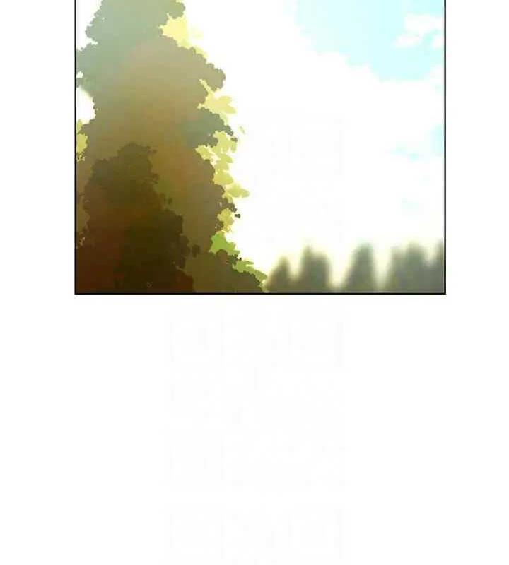 33P - 野蛮插画家