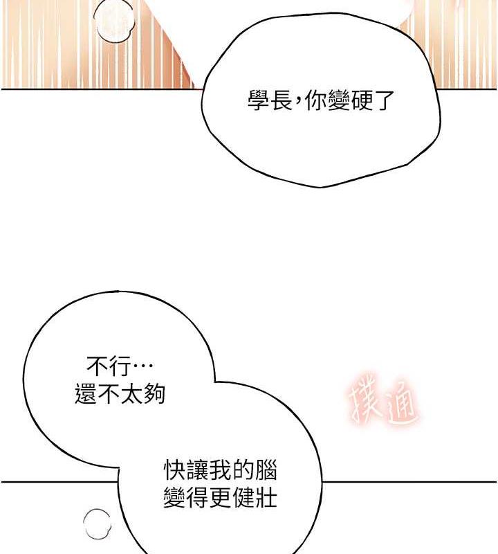 30P - 野蛮插画家