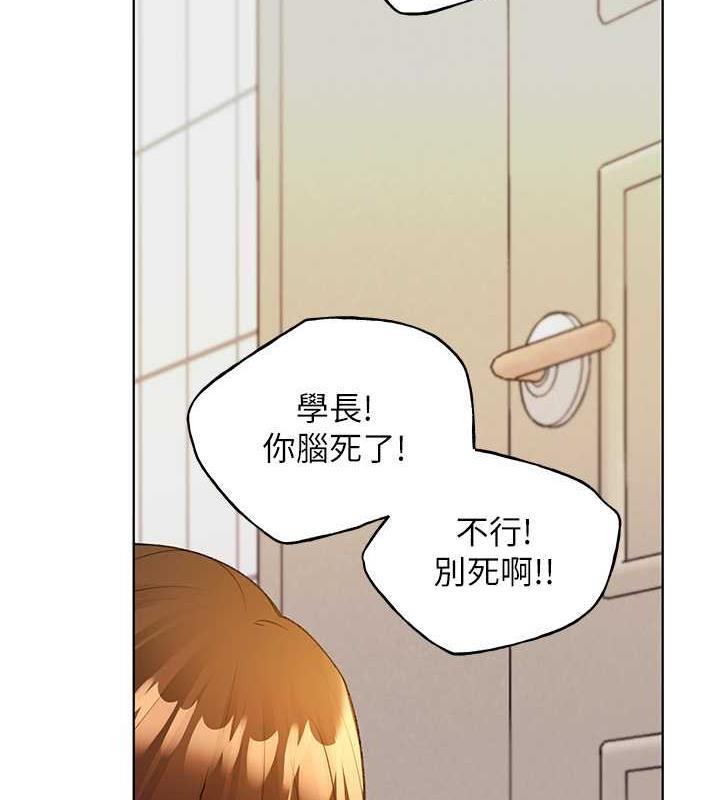 37P - 野蛮插画家