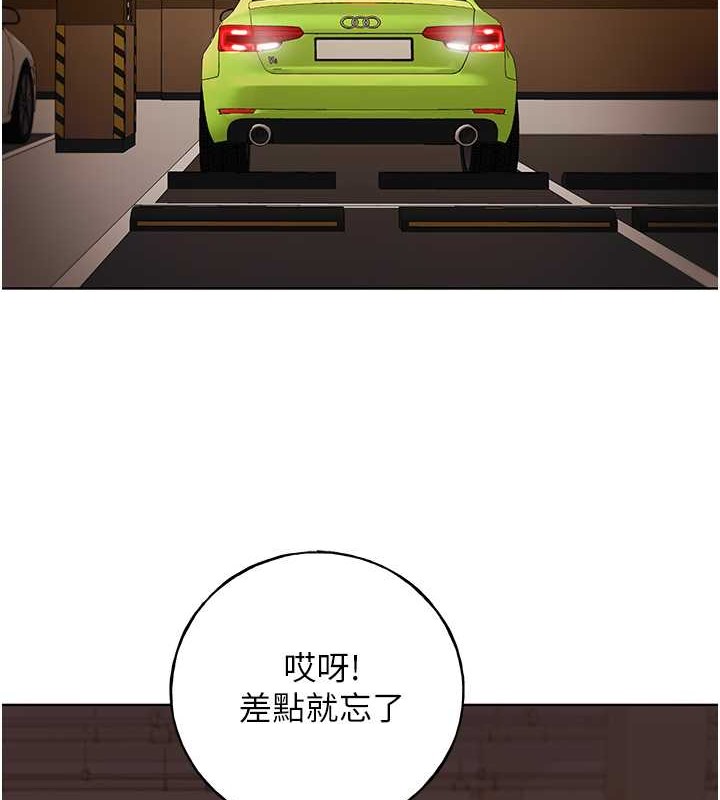 2P - 野蛮插画家