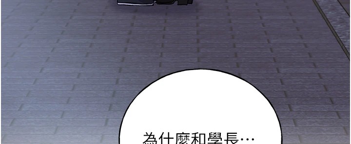 5P - 野蛮插画家