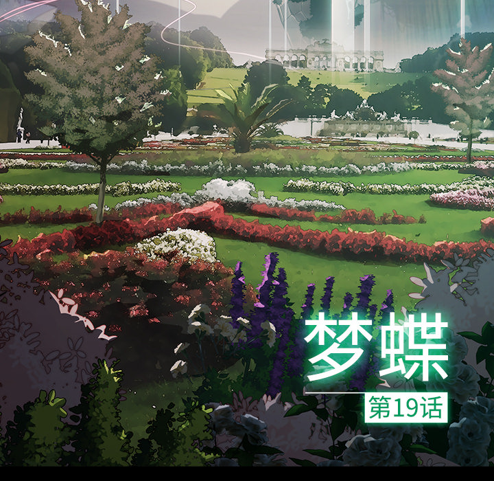 6P - 梦蝶