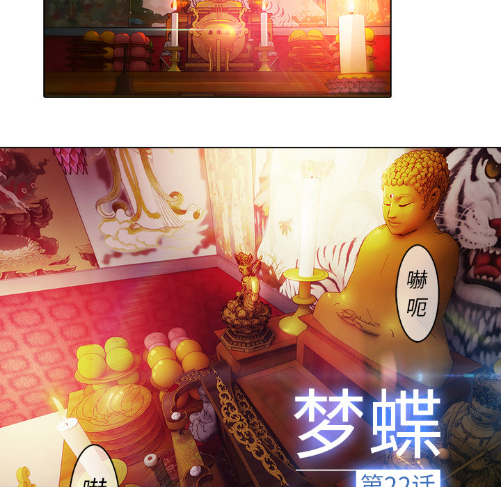 9P - 梦蝶