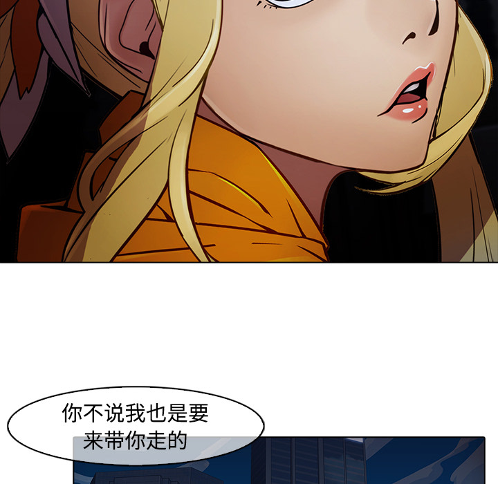 37P - 梦蝶