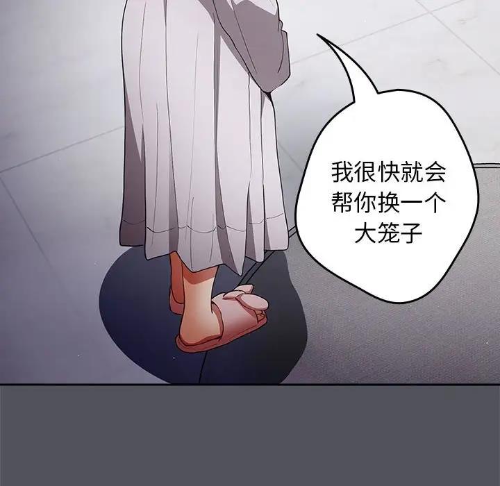 14P - 游戏不能这样玩/游戏规则我来定