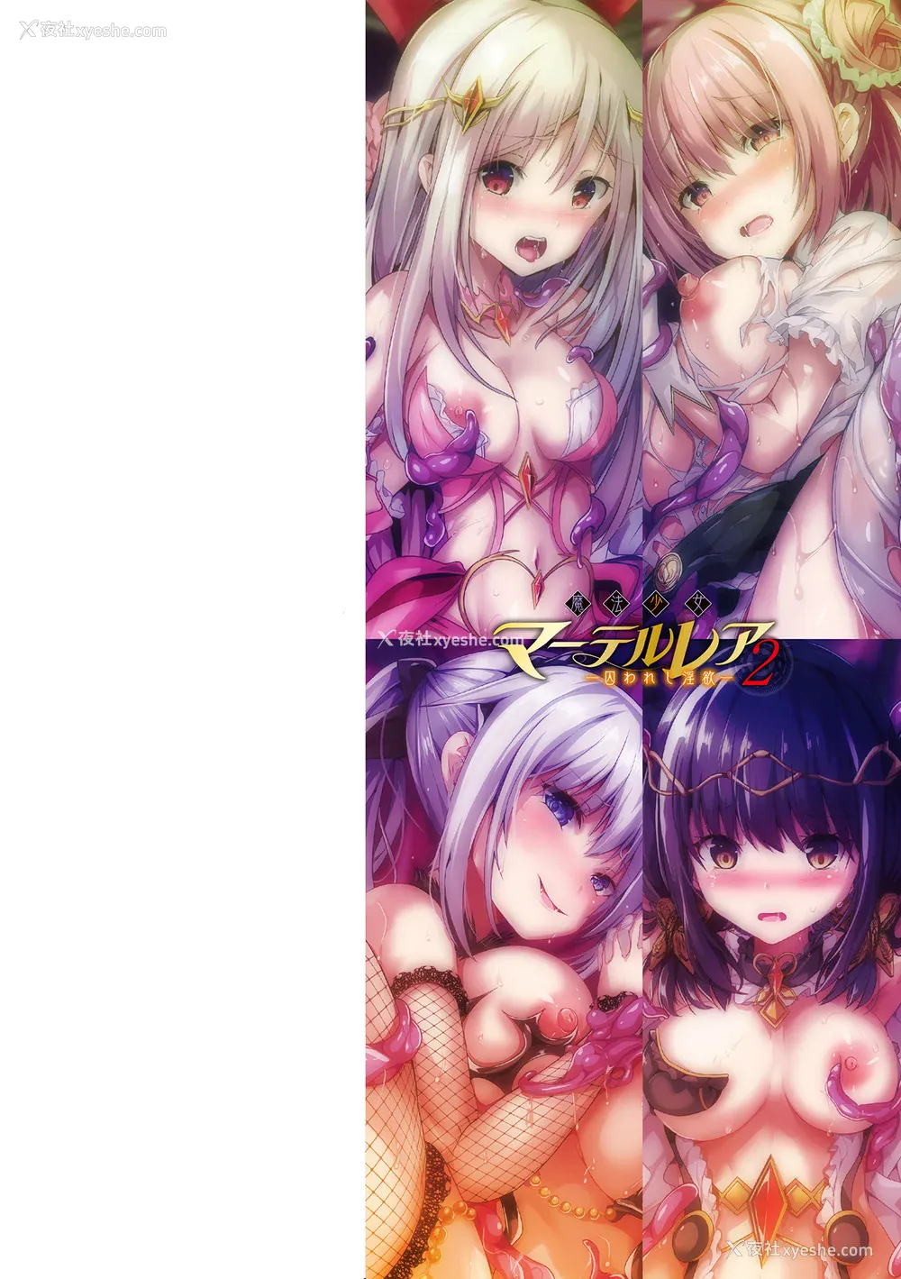 2P - [すみすず] 魔法少女マーテルレア2 -囚われし淫欲- [中国翻訳] [DL版]