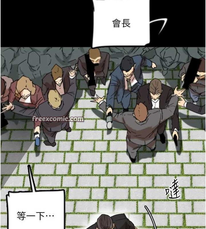 28P - 养父的女儿们
