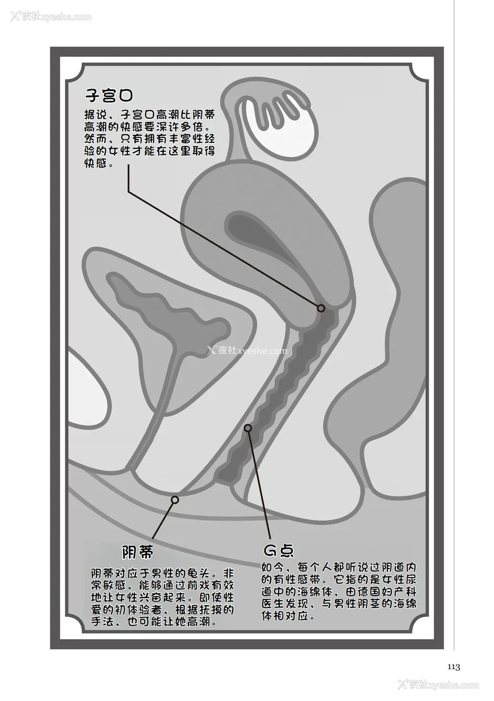 119P - [マニアックラブ研究会 (铃木享治)] どこよりも详しい人妻の本 [Chinese]