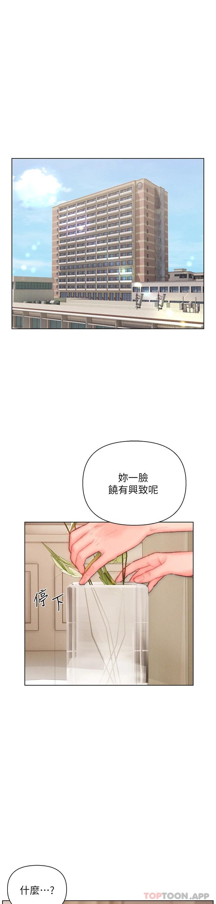 1P - 入赘女婿
