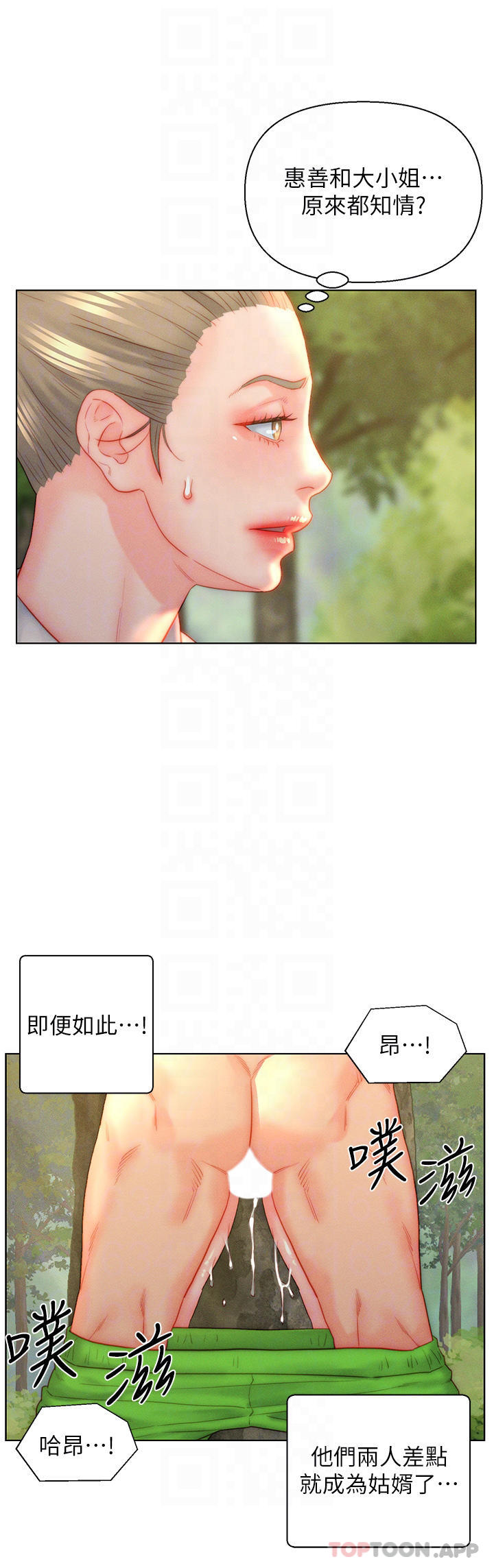 6P - 入赘女婿