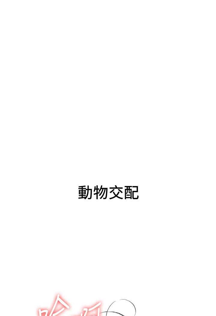 1P - 抢女友速成班