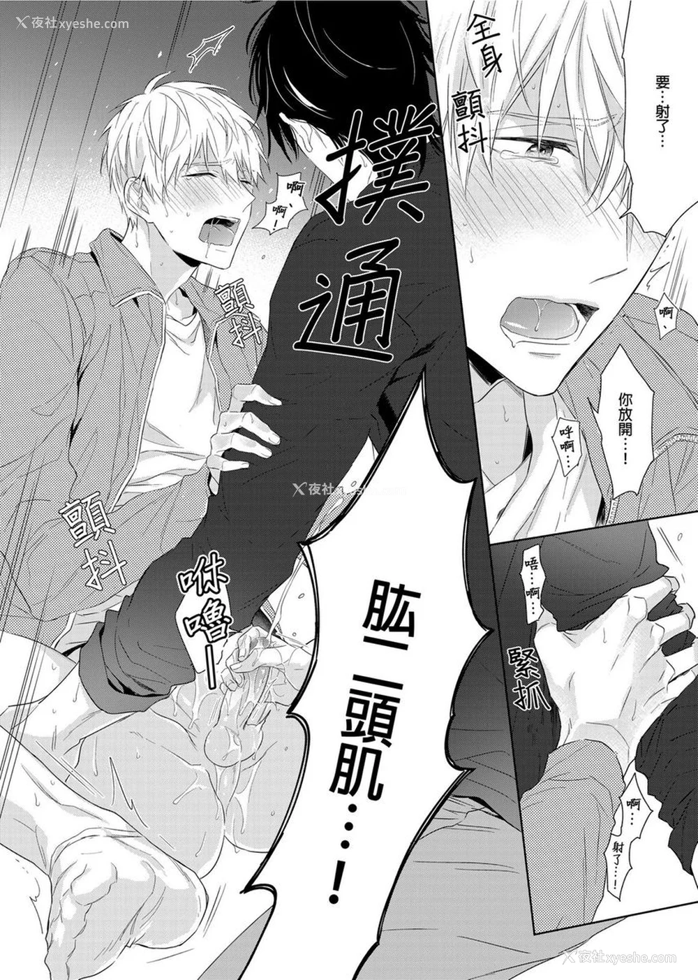 27P - [名原しょうこ] マッスル パラダイス