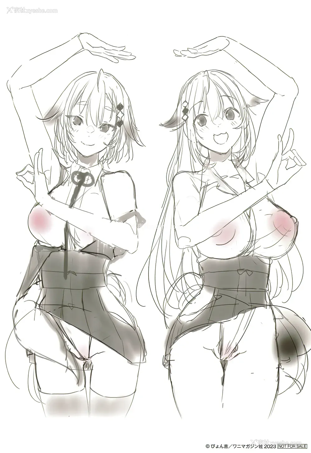 248P - [ぴょん吉] 片恋フラグメント とらのあな购入特典 rough illust works [无毒汉化组]