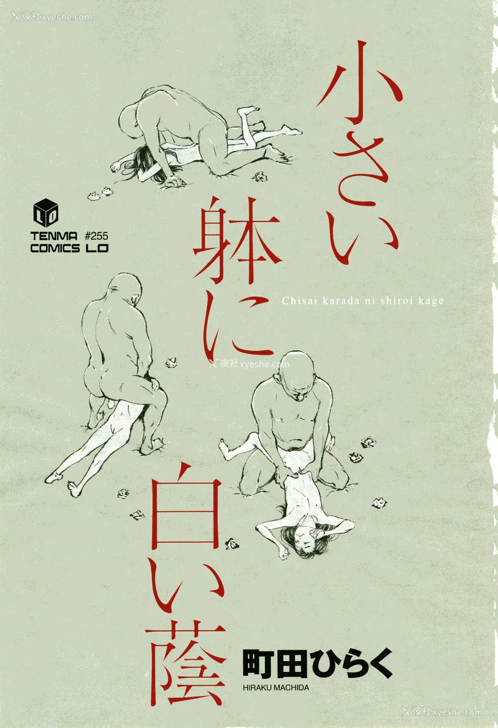 4P - [町田ひらく] 小さい躰に白い荫 [中国翻訳]