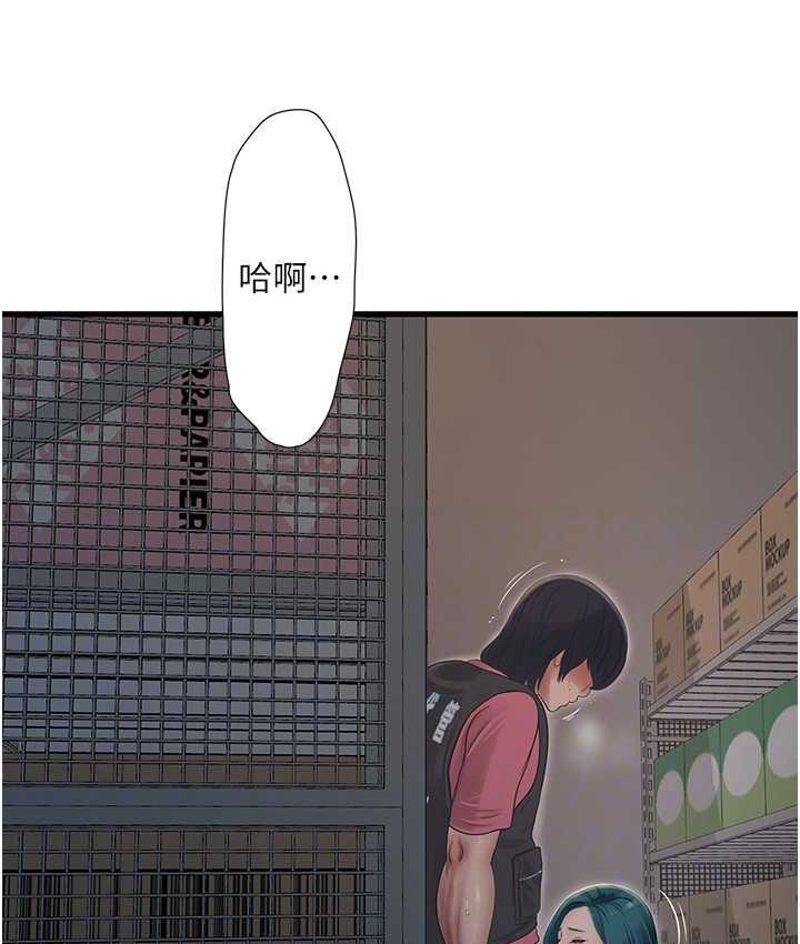 29P - 水电工日志