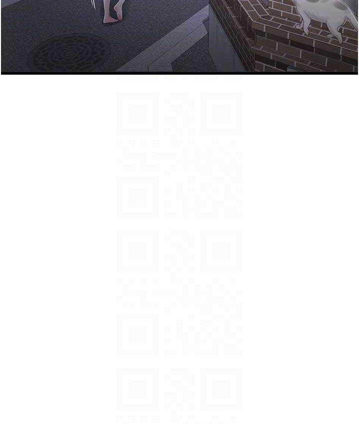19P - 水电工日志