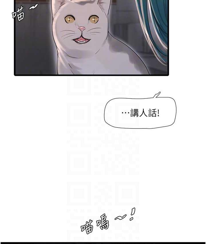 29P - 水电工日志