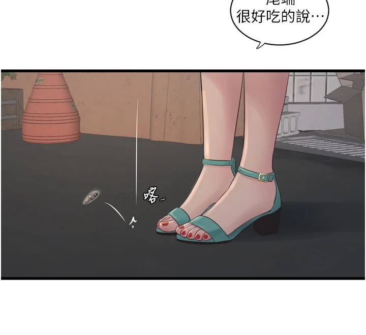 46P - 水电工日志