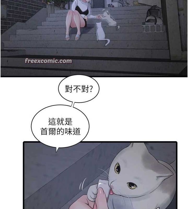 48P - 水电工日志