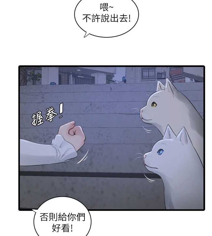 62P - 水电工日志