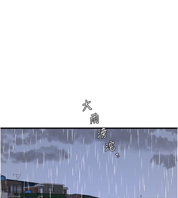 1P - 水电工日志
