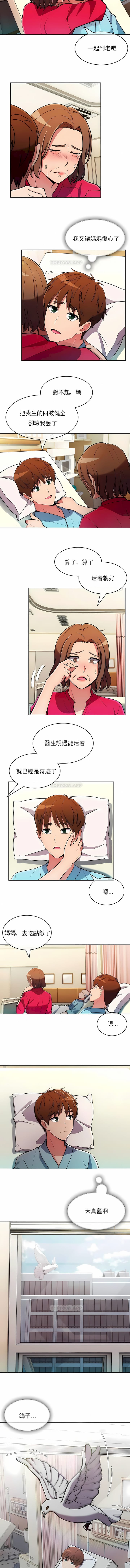 5P - 真诚的敏赫
