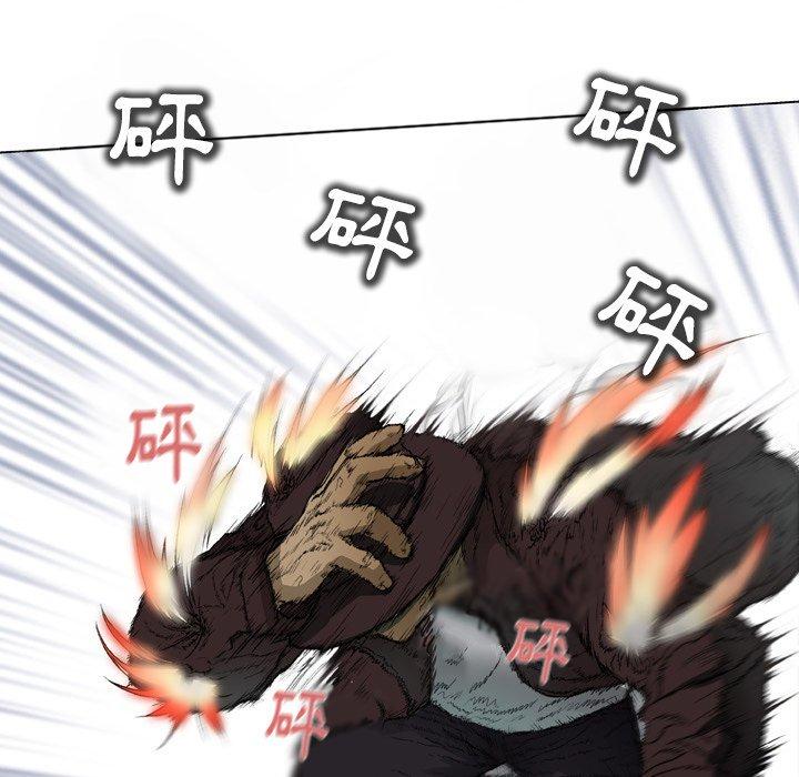 31P - 野狗