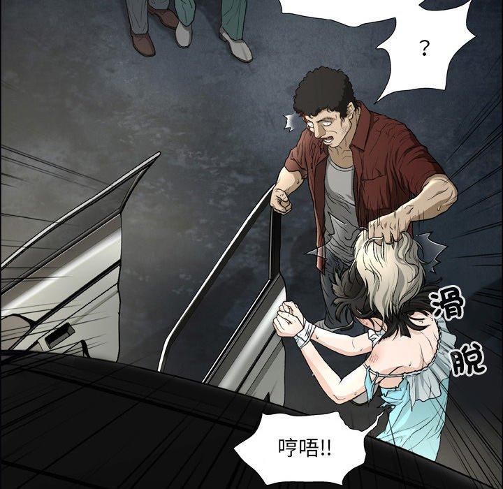 53P - 野狗